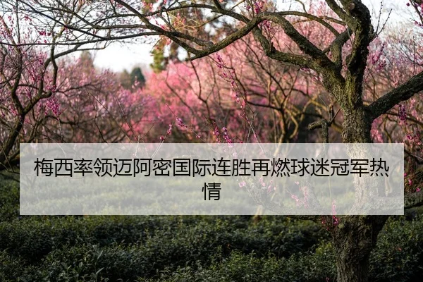 梅西率领迈阿密国际连胜再燃球迷冠军热情